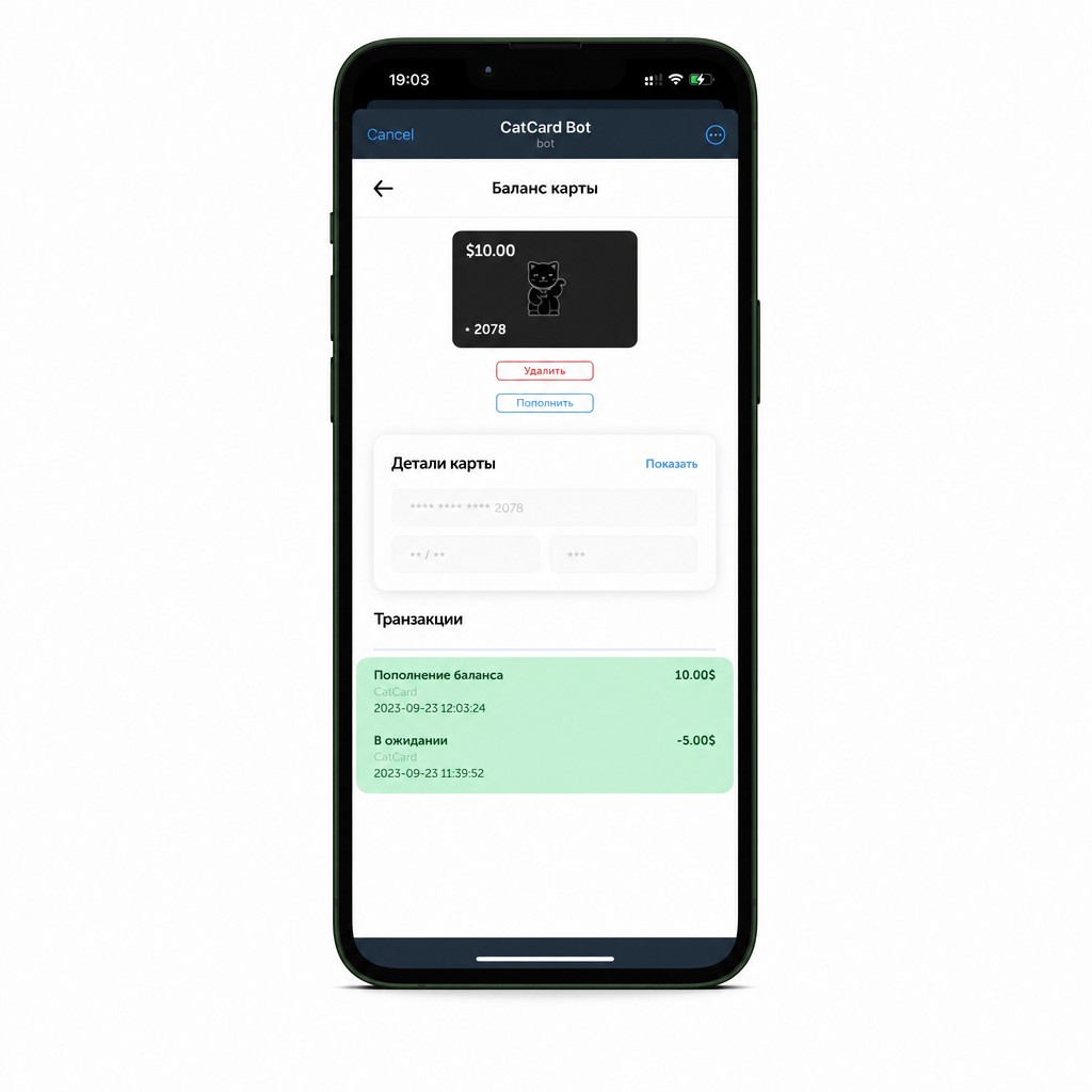 История транзакций в мини-приложении CatCard — списание за Fansly