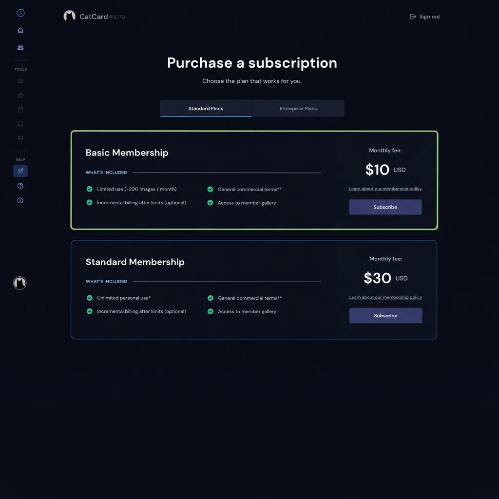 Выбор тарифного плана Midjourney Basic Membership за $10