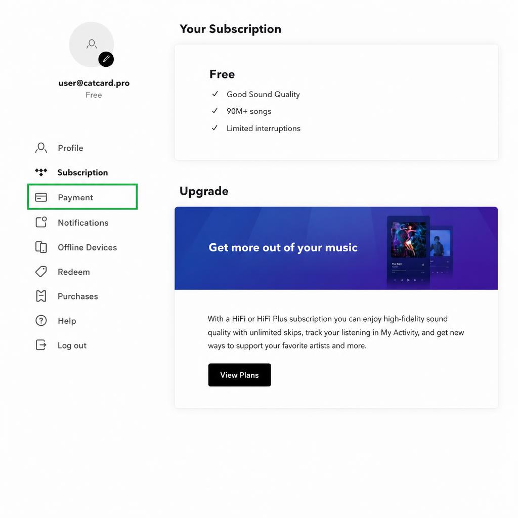 Раздел Payments в настройках Tidal